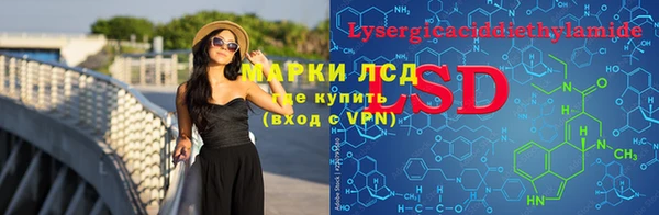 стаф Володарск