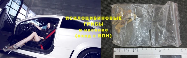 стаф Володарск