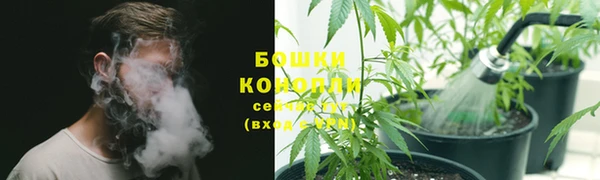 стаф Володарск