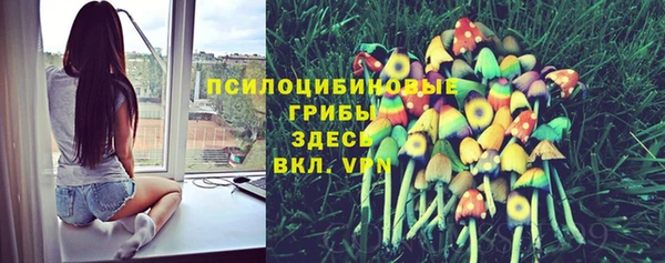 MDMA Волоколамск