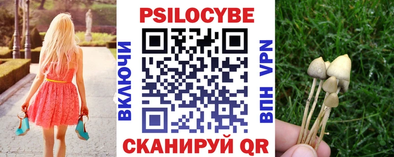 площадка клад  Назарово  Галлюциногенные грибы прущие грибы  что такое  